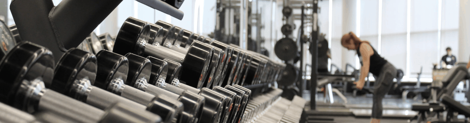 gym management software data